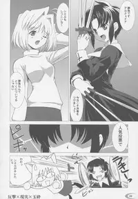 (C63) [Crazy Clover Club (Shirotsumekusa)] Tsukihime Complex (Tsukihime)