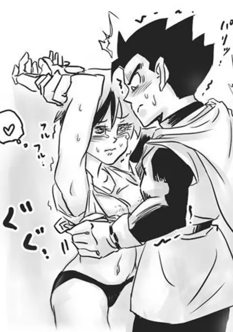 Gohan x Videl Stuff