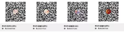 (C96) [ActiveMover (Arikawa Satoru)] Secret Garden Plus (Flower Knight Girl) [Chinese] [脸肿汉化组]