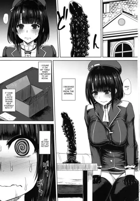 Watashi wa Kore o Oshiri ni Iremashita.