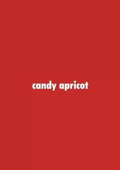 [candy apricot (Mashita)] Ninpou! Josou Nekomimi Maid Mugen Tanetsuke no Jutsu!! [Chinese] [瑞树汉化组] [Digital]