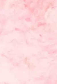 [St.LUGER POWER (D.HIRANUMA)] Kero-chan to Issho (Card Captor Sakura)