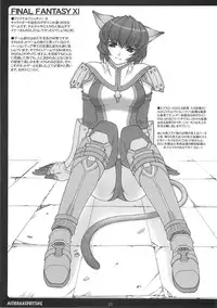 (C65) [PHANTOM CROSS (Miyagi Yasutomo)] Mithran Spotting (Final Fantasy XI)