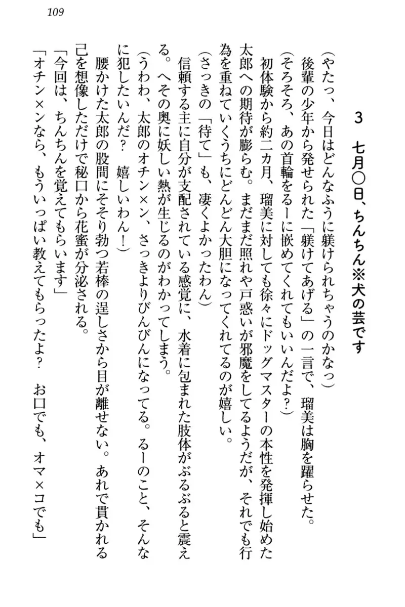 Boku to Ruu Senpai no Houkago Choukyou Nisshi - Kyou mo Watashi o Shitsukenasai!