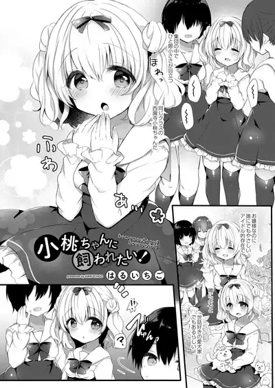 Komomo-chan ni Kawaretai! 1