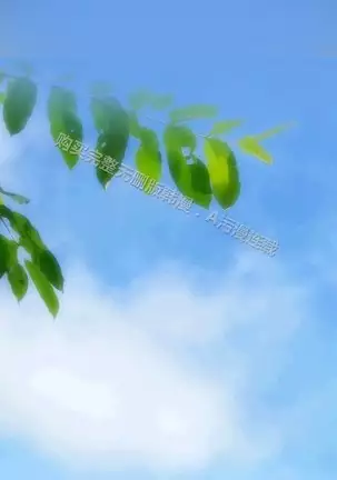 亚哈路 第1季