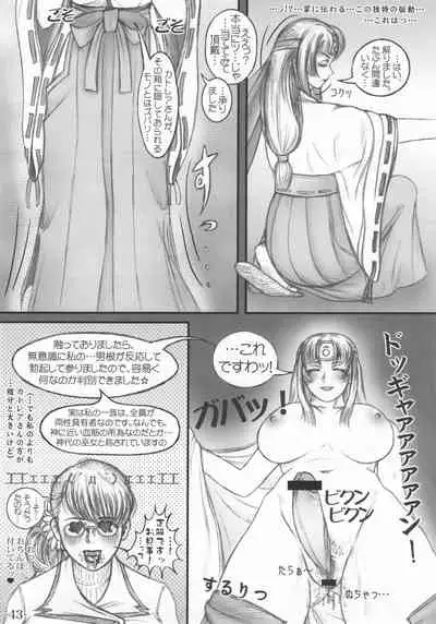 [LOWHIDE PROJECT (LOWHIDE)] Bukiya Okami no Himitsu Nikki (Queen's Blade)