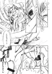 [AQUA-BRAND (Sagano Aoi) ] [ 2000-08-16 ] - SAMPLE-CSS2 (Card Captor Sakura)